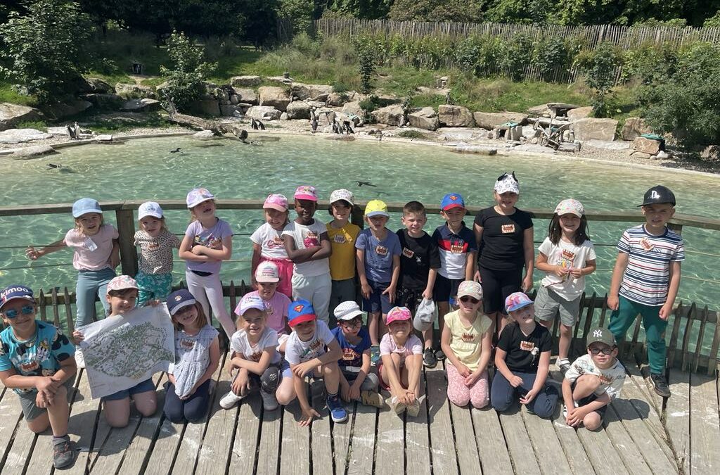 Les GS en sortie à Branféré